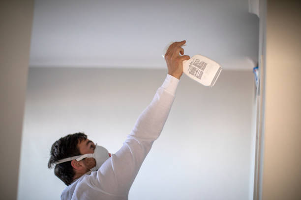 Best Home Mold Removal  in Petersburg, AK