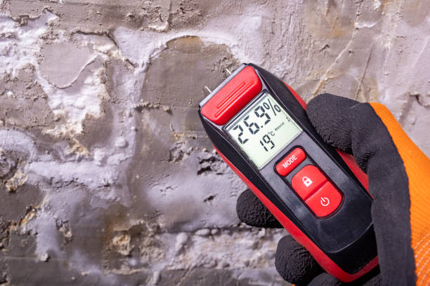 Best Residential Mold Removal  in Petersburg, AK