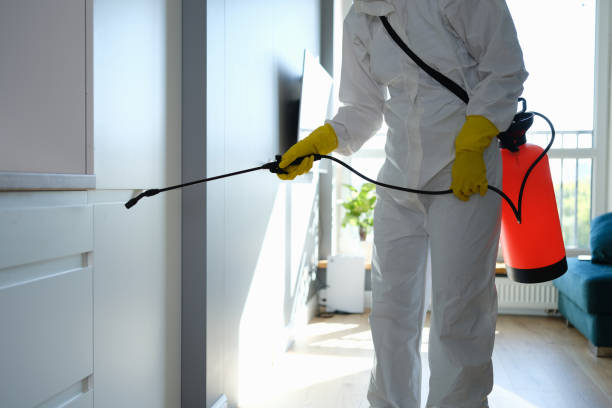Best Mold Cleaning Services  in Petersburg, AK