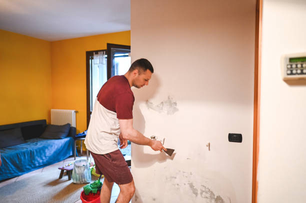 Best Emergency Mold Removal  in Petersburg, AK